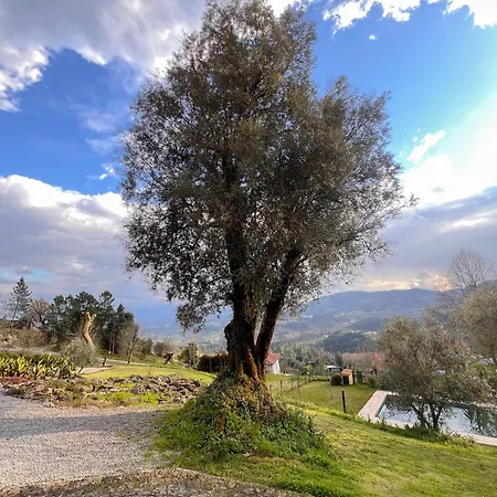 Quinta Valbom * Celorico De Basto