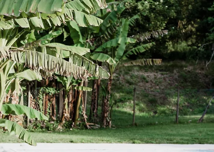 Kamp alanı Quinta Valbom Celorico De Basto