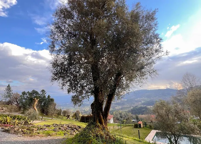 Quinta Valbom * Селорику-ди-Башту